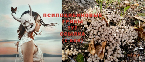 Альфа ПВП Алзамай