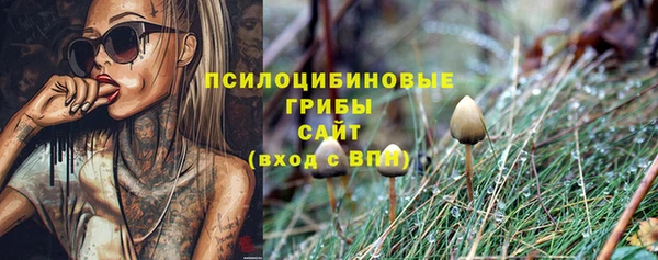метамфетамин Видное