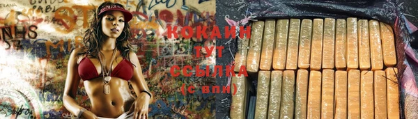 молекула духа Алексеевка